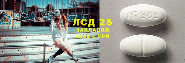 ГАЛЛЮЦИНОГЕННЫЕ ГРИБЫ Аркадак