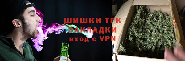 ГАЛЛЮЦИНОГЕННЫЕ ГРИБЫ Аркадак
