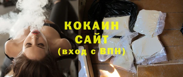 ГАЛЛЮЦИНОГЕННЫЕ ГРИБЫ Аркадак