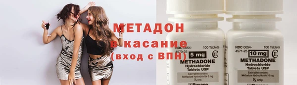ГАЛЛЮЦИНОГЕННЫЕ ГРИБЫ Аркадак