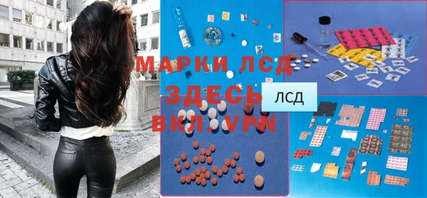 ГАЛЛЮЦИНОГЕННЫЕ ГРИБЫ Аркадак
