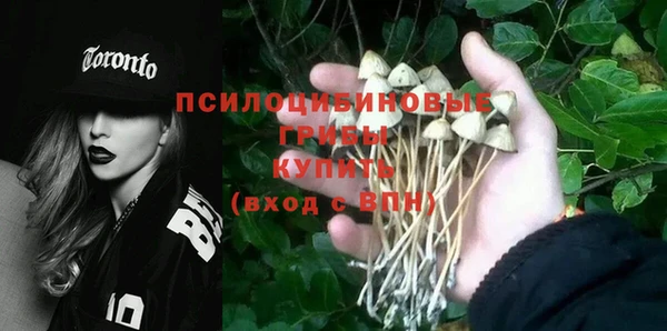 ГАЛЛЮЦИНОГЕННЫЕ ГРИБЫ Аркадак