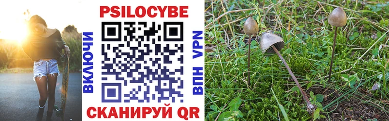 Псилоцибиновые грибы мухоморы  Купить закладки  Вилючинск 